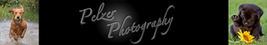 Pelzer Photography, Wiesbaden Pelzer Photography, Wiesbaden