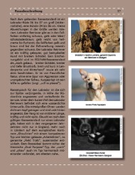 Zur Leseprobe anklicken! Zur Leseprobe anklicken!