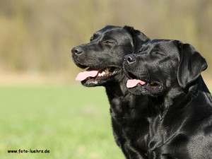 Paula und Phoebe